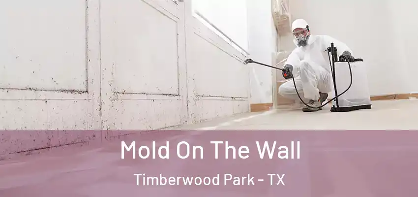  Mold On The Wall Timberwood Park - TX