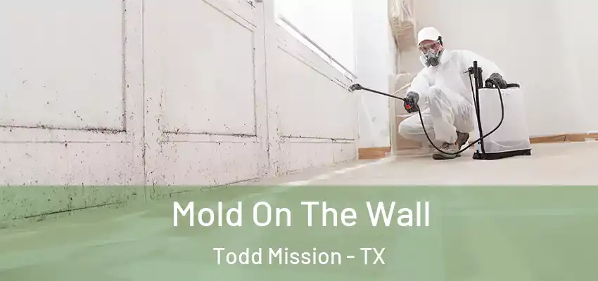  Mold On The Wall Todd Mission - TX