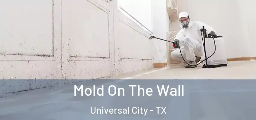  Mold On The Wall Universal City - TX