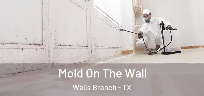  Mold On The Wall Wells Branch - TX