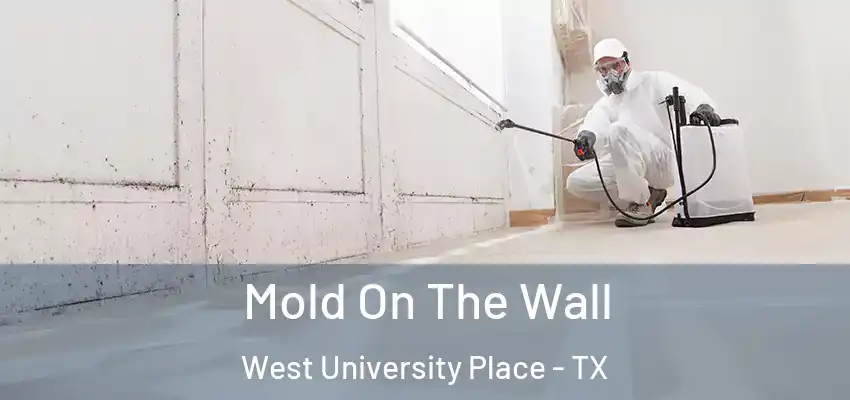  Mold On The Wall West University Place - TX
