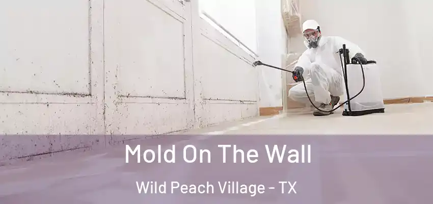  Mold On The Wall Wild Peach Village - TX