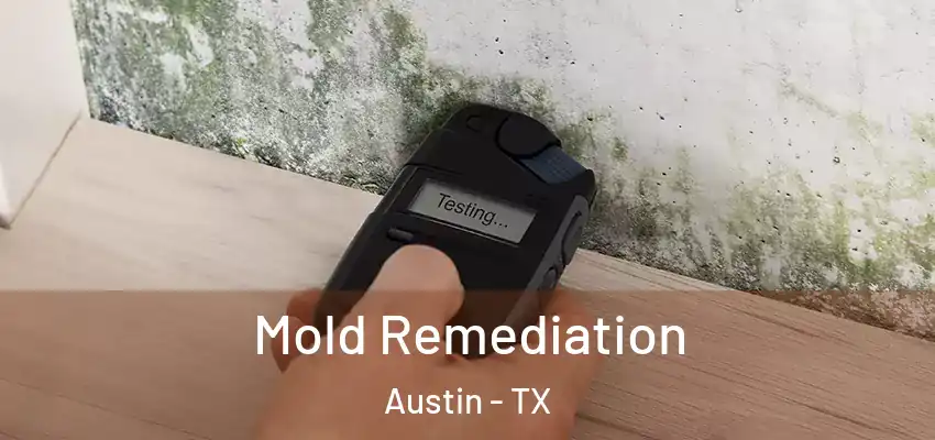  Mold Remediation Austin - TX