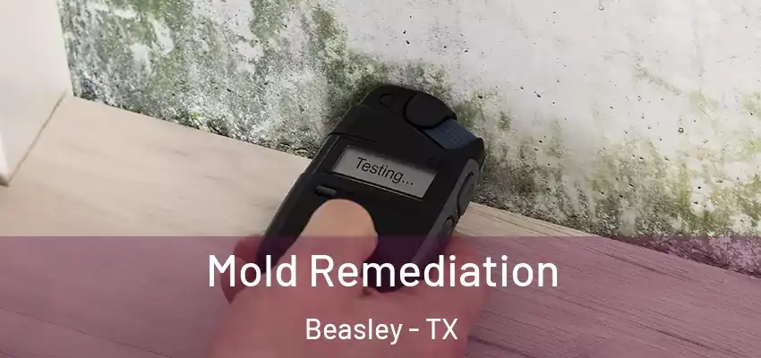  Mold Remediation Beasley - TX
