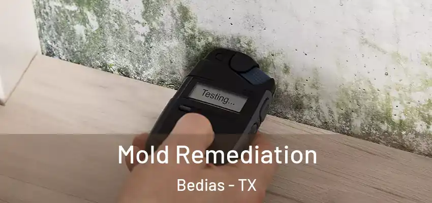 Mold Remediation Bedias - TX