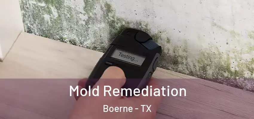  Mold Remediation Boerne - TX