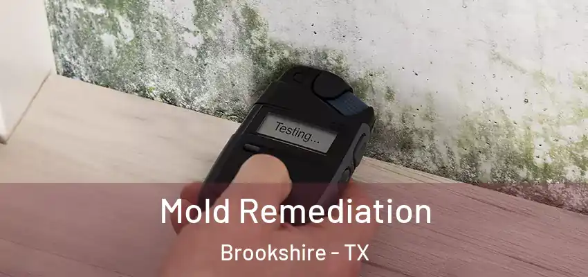  Mold Remediation Brookshire - TX