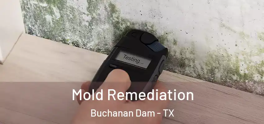  Mold Remediation Buchanan Dam - TX
