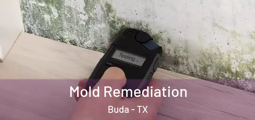  Mold Remediation Buda - TX