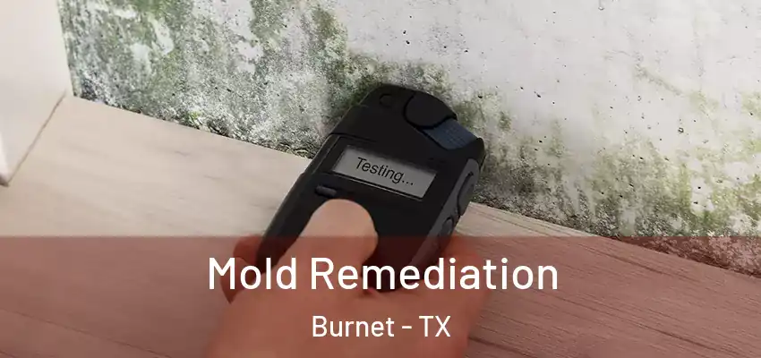  Mold Remediation Burnet - TX