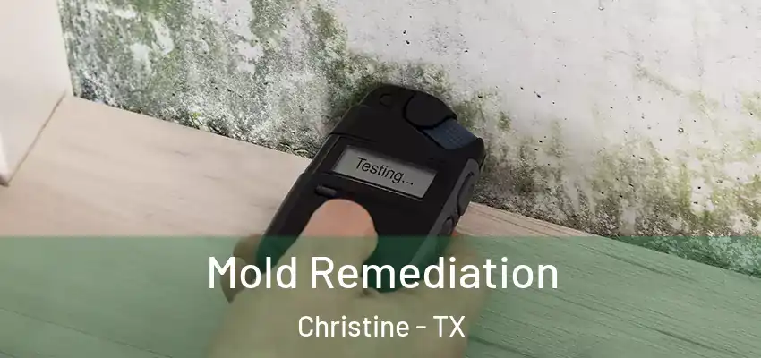  Mold Remediation Christine - TX
