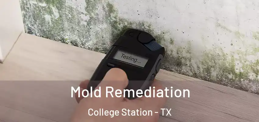  Mold Remediation College Station - TX