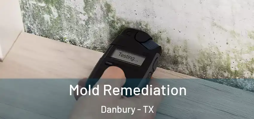  Mold Remediation Danbury - TX