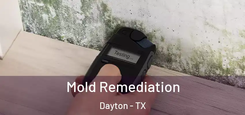  Mold Remediation Dayton - TX