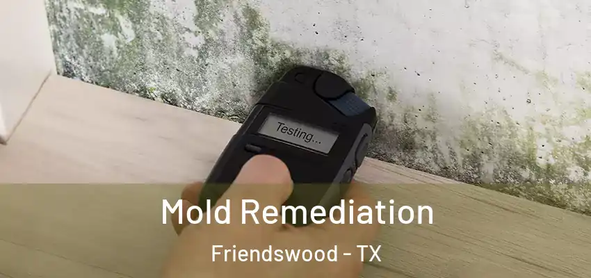  Mold Remediation Friendswood - TX