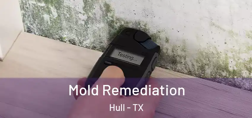  Mold Remediation Hull - TX