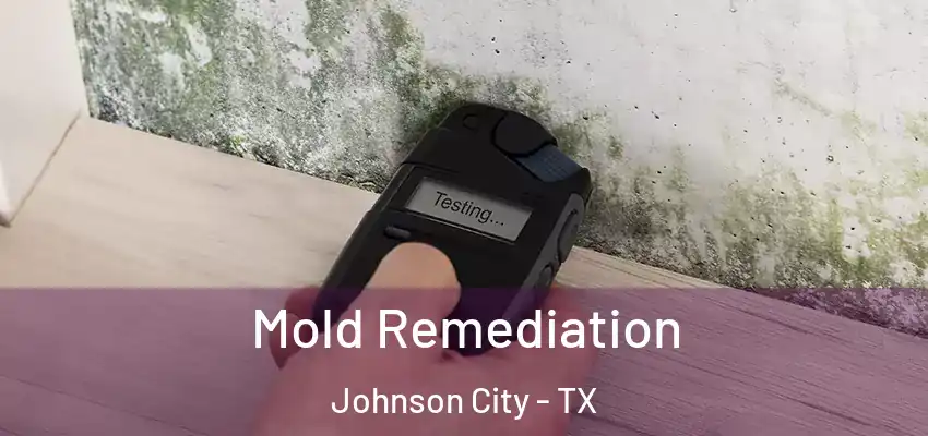  Mold Remediation Johnson City - TX
