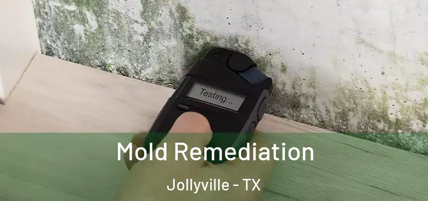  Mold Remediation Jollyville - TX