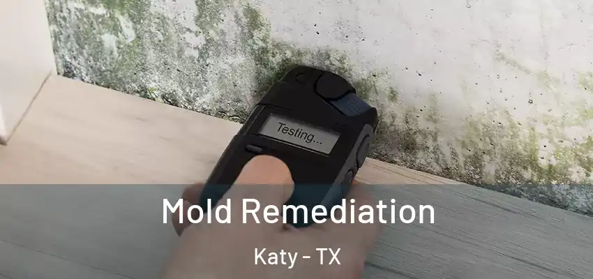  Mold Remediation Katy - TX