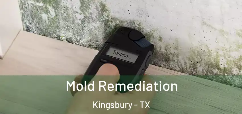  Mold Remediation Kingsbury - TX