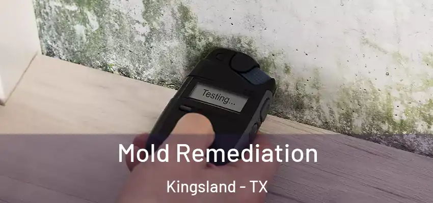  Mold Remediation Kingsland - TX