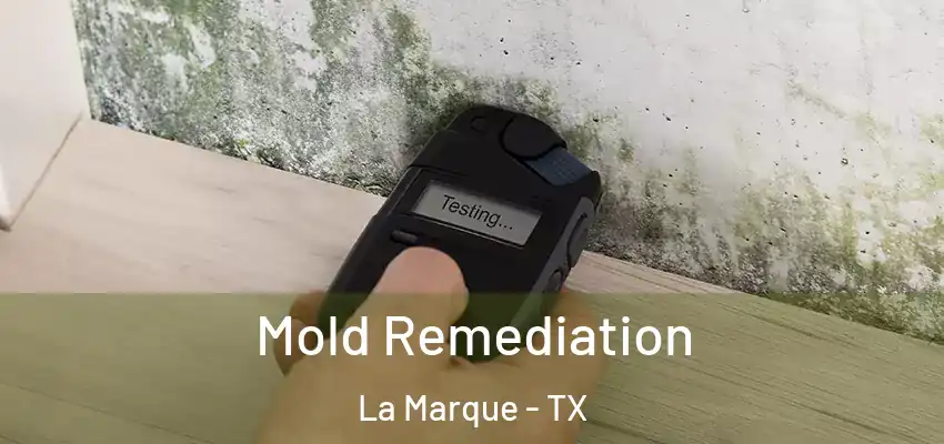  Mold Remediation La Marque - TX