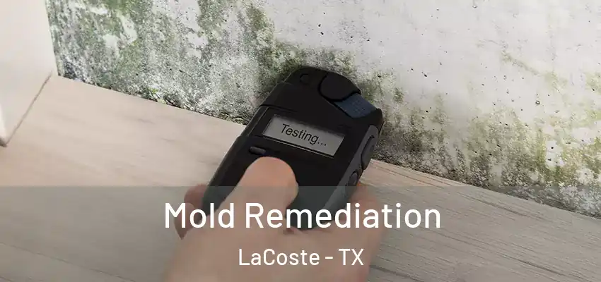  Mold Remediation LaCoste - TX
