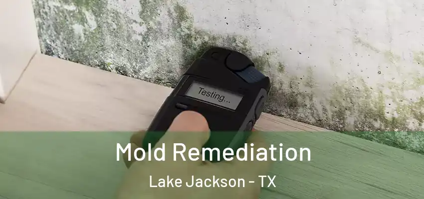  Mold Remediation Lake Jackson - TX