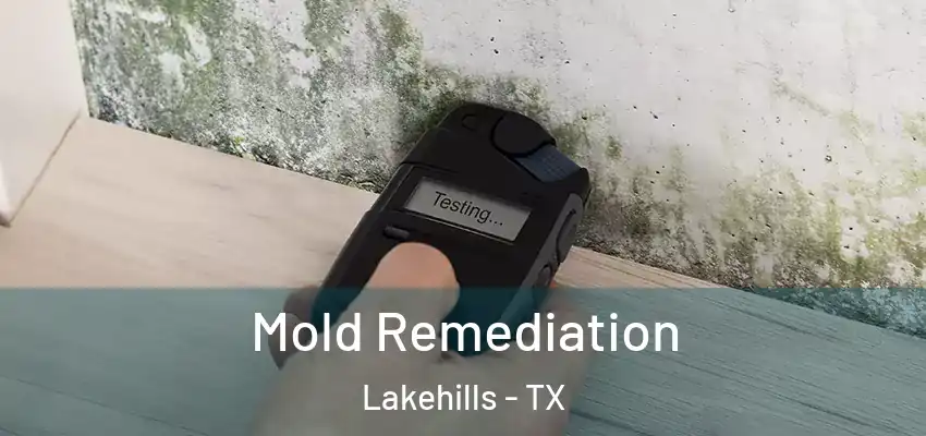  Mold Remediation Lakehills - TX