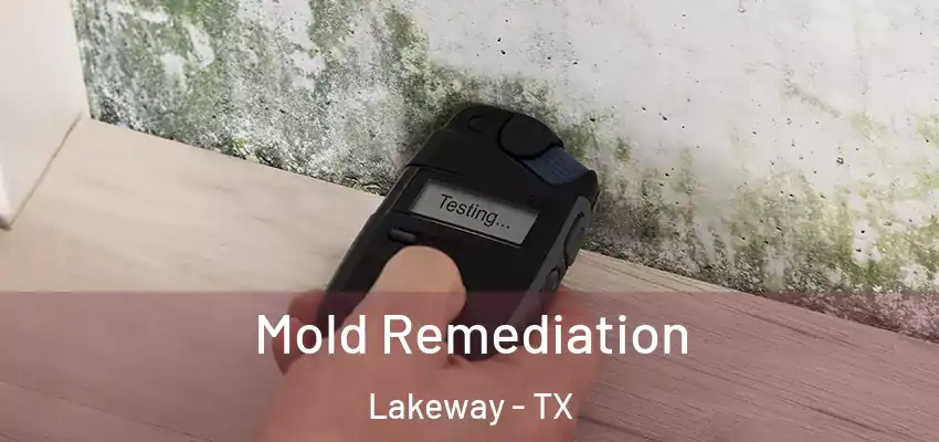  Mold Remediation Lakeway - TX