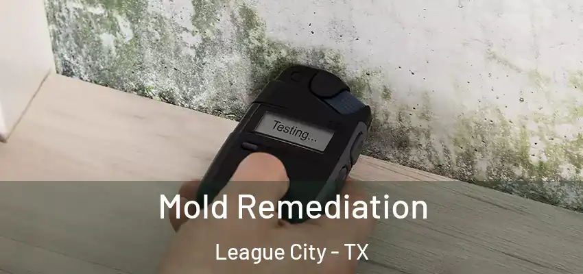  Mold Remediation League City - TX