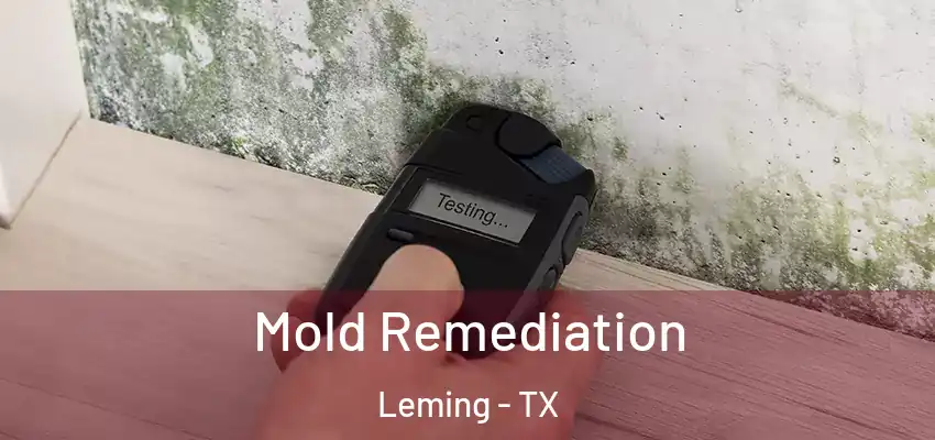  Mold Remediation Leming - TX