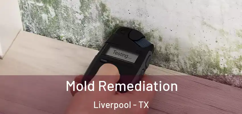  Mold Remediation Liverpool - TX