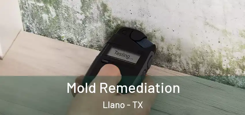  Mold Remediation Llano - TX