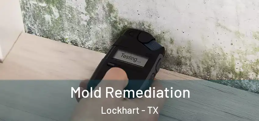  Mold Remediation Lockhart - TX