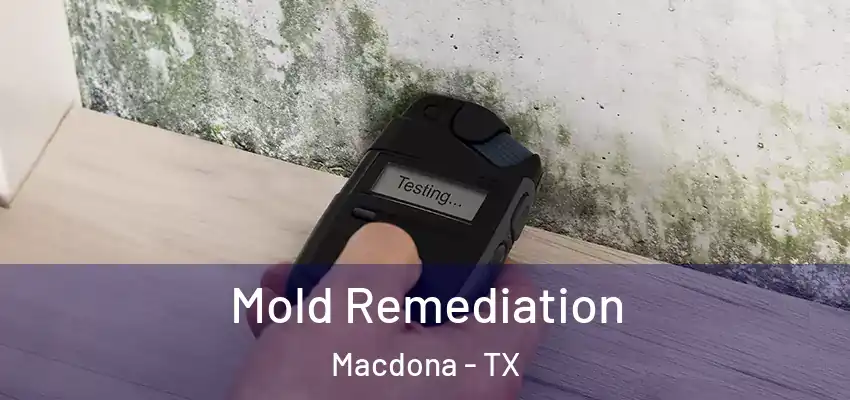 Mold Remediation Macdona - TX