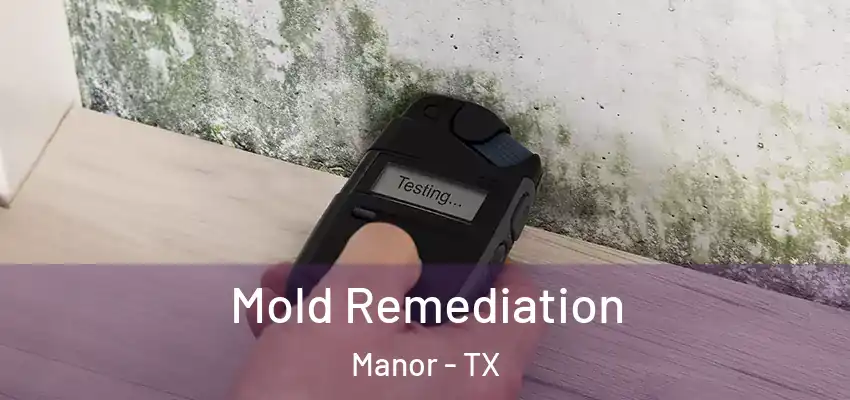  Mold Remediation Manor - TX