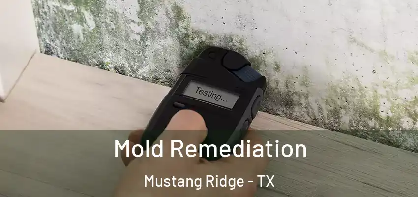  Mold Remediation Mustang Ridge - TX