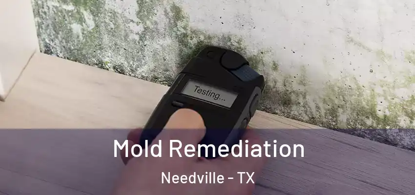  Mold Remediation Needville - TX