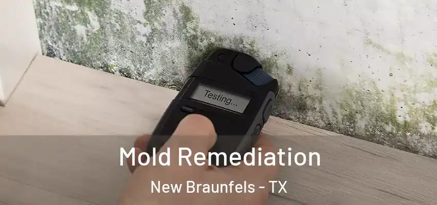  Mold Remediation New Braunfels - TX