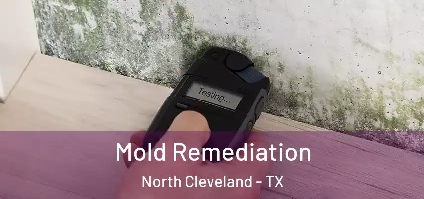  Mold Remediation North Cleveland - TX