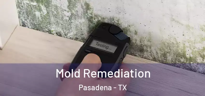  Mold Remediation Pasadena - TX