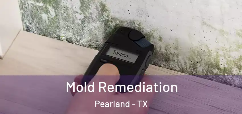  Mold Remediation Pearland - TX