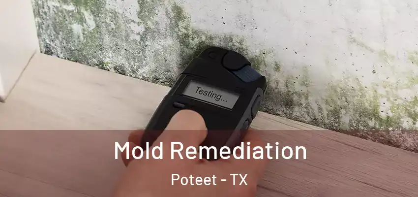  Mold Remediation Poteet - TX