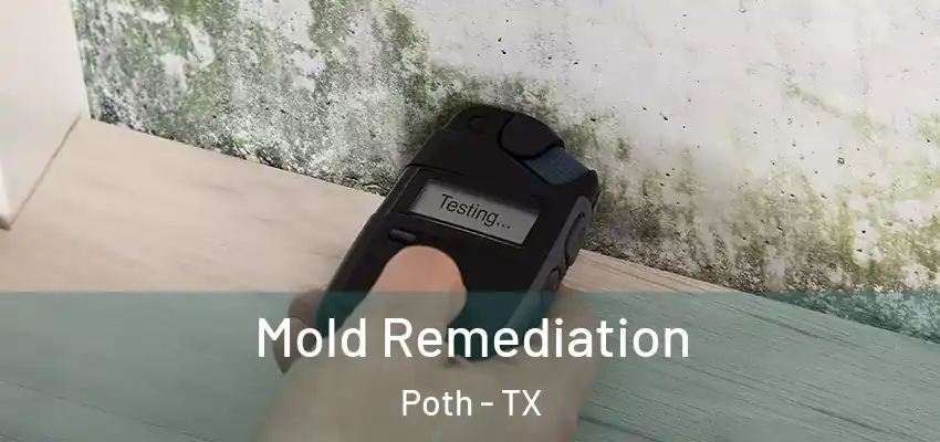  Mold Remediation Poth - TX