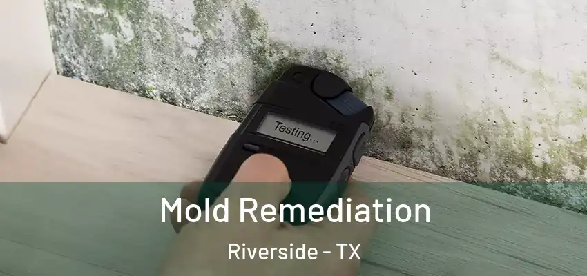  Mold Remediation Riverside - TX
