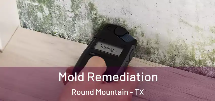  Mold Remediation Round Mountain - TX