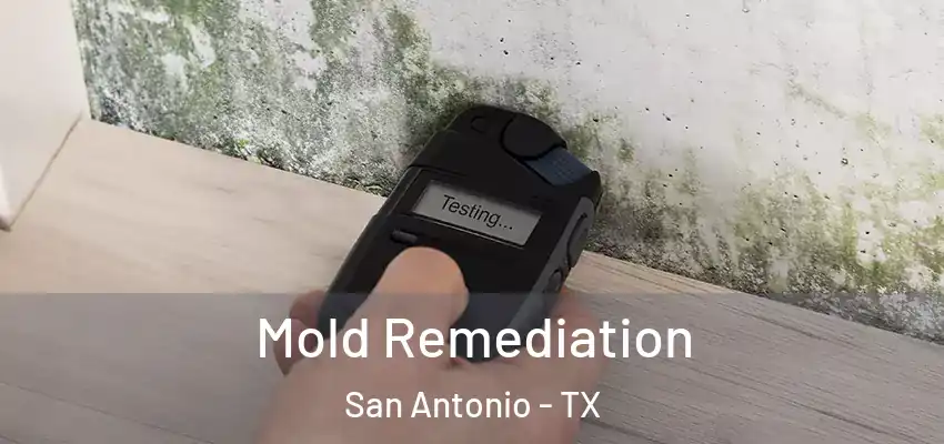  Mold Remediation San Antonio - TX