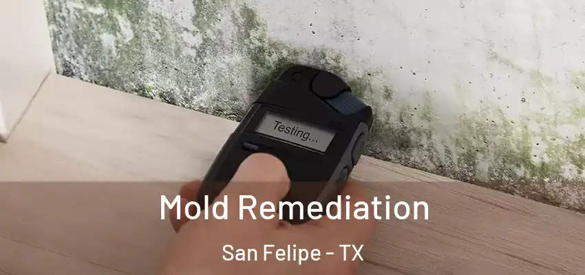  Mold Remediation San Felipe - TX