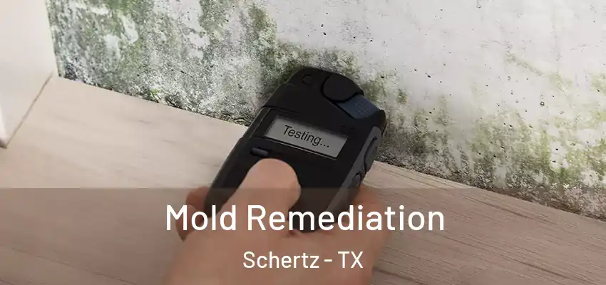  Mold Remediation Schertz - TX